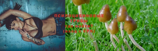 MESCALINE Кодинск
